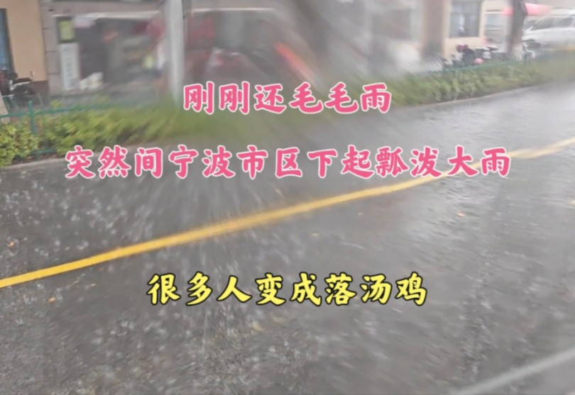 刚刚还毛毛雨,突然间宁波市区下起瓢泼大雨,很多人变成了落汤鸡