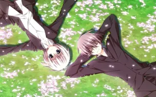 夏目圭 搜索结果 哔哩哔哩 Bilibili