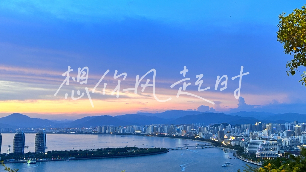 《想你时风起》