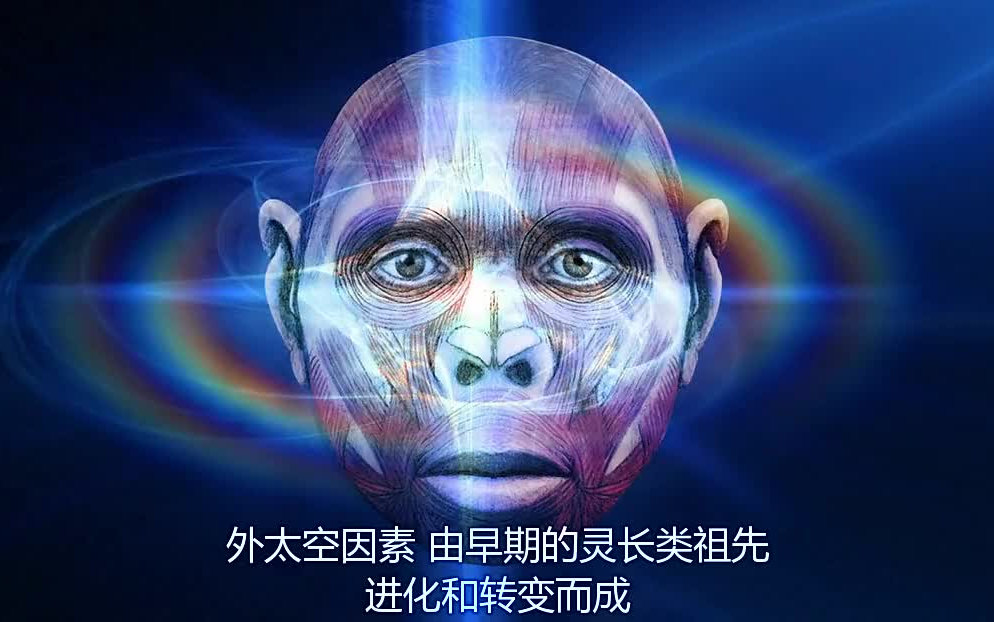 [图]外星人与人类的诞生 英语中文字幕_超清