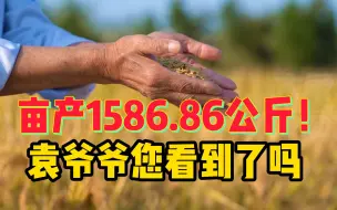 Скачать видео: 亩产1586.86公斤！袁爷爷，您提出的目标已落实，您看到了吗