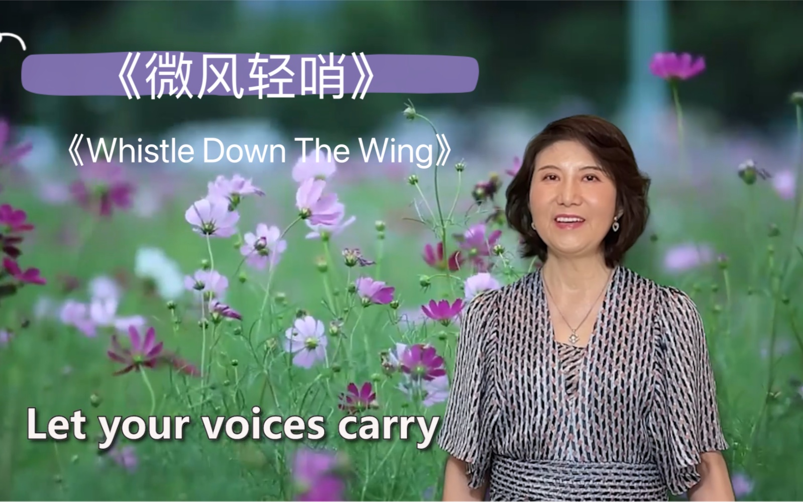 [图]《微风轻哨》《Whistle Down The Wind》