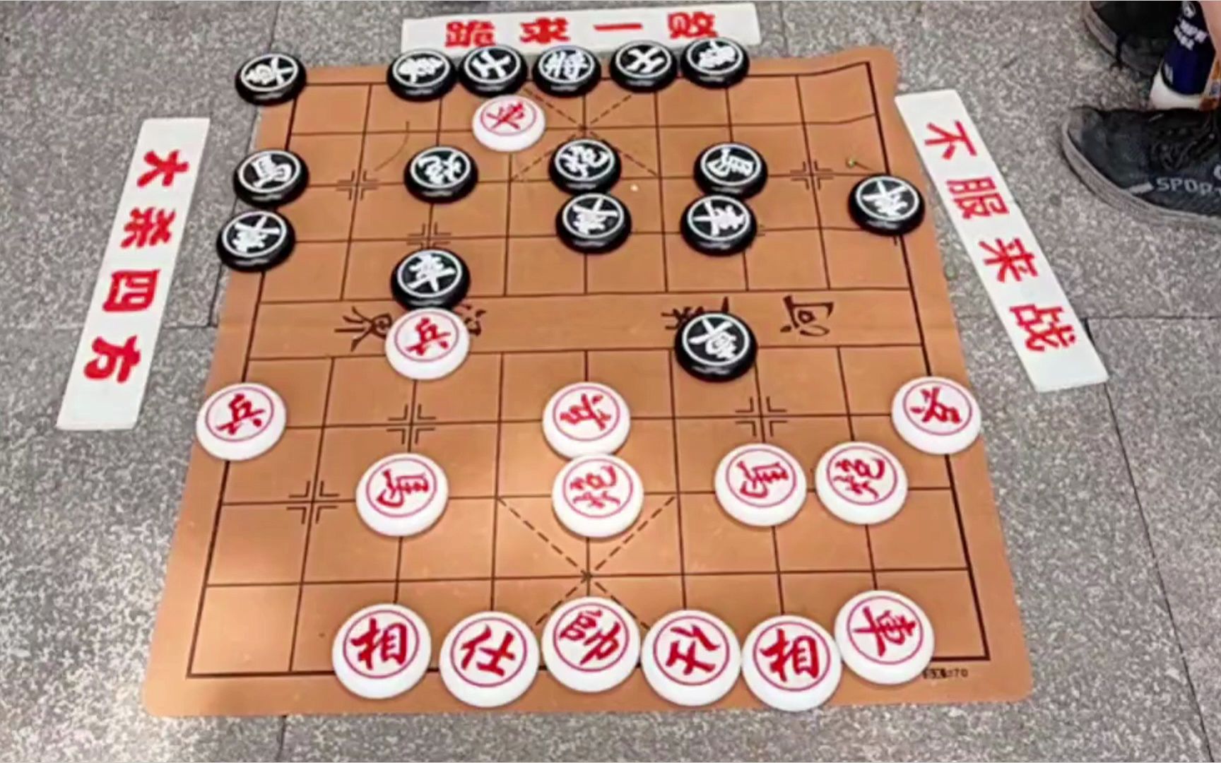 象棋大师宋洁图片