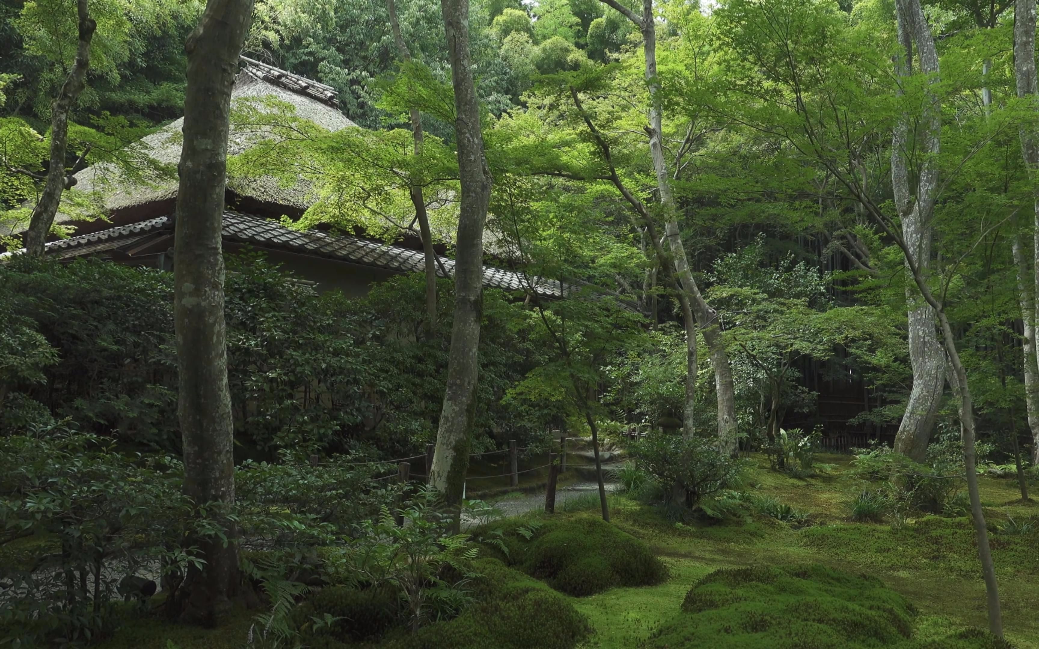 [4k] 祇王寺 京都の庭園 gio-ji temple [4k] the garden of kyoto