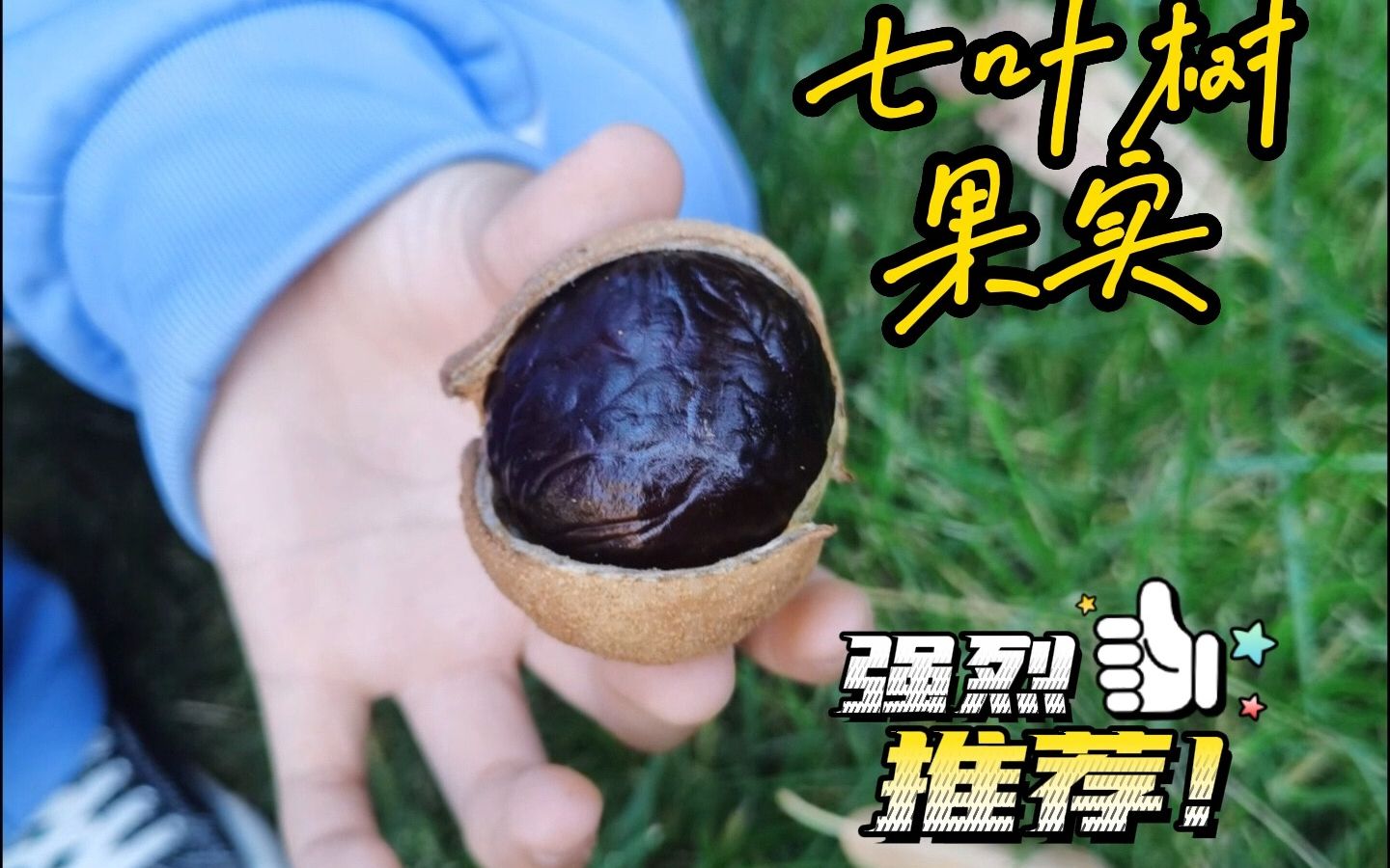 物语诗堂(天水一中麦积校区2022级七年级)