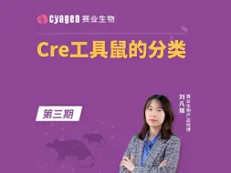 Download Video: 科研好帮手——工具鼠的分类及其应用