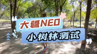 Video herunterladen: 大疆NEO无人机钻小树林测试