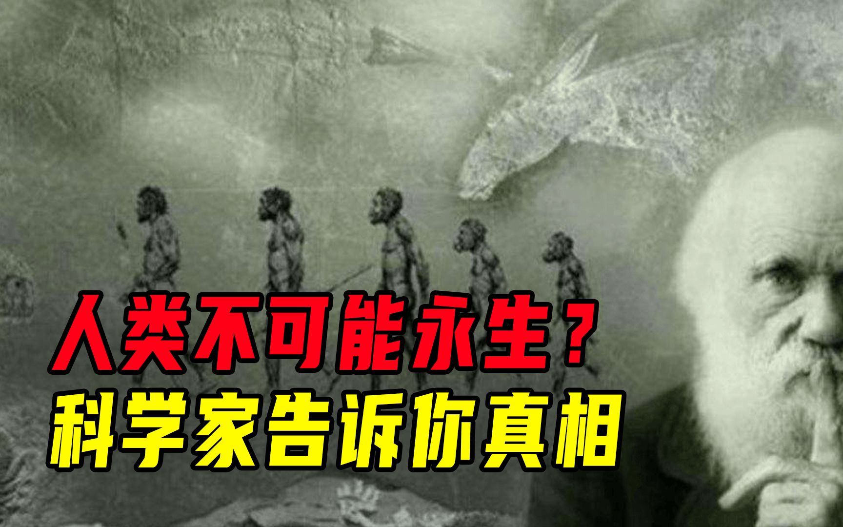 [图]人体寿命的极限是130岁！阻碍永生的原因到底是什么？