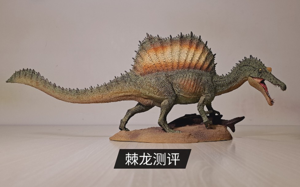 300多元的pnso棘龙什么样(测评)