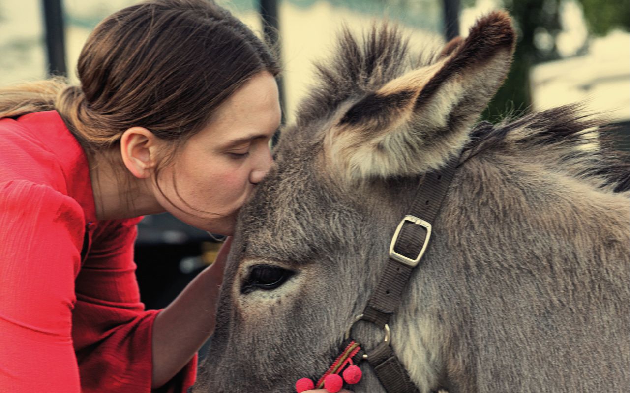 一头忧郁的驴的视角看世界《驴叫》中字预告