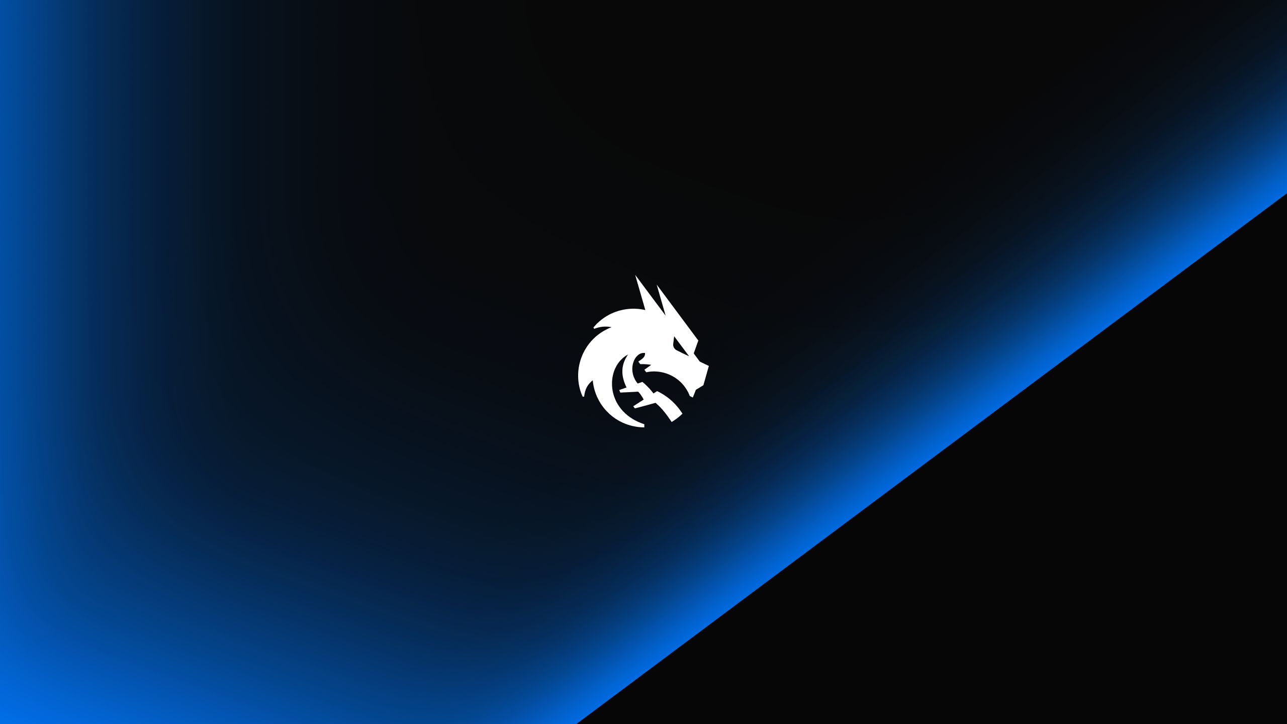 (2/2)所以我想让你所做的一切都能在我这里看到回应