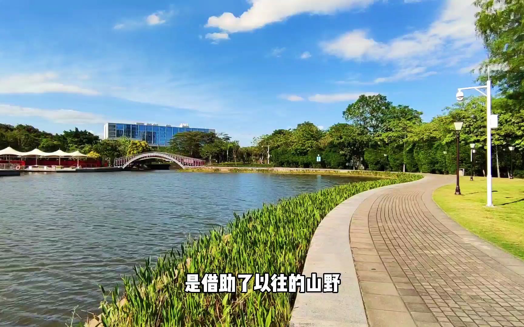 深圳坪山中心公园,360亩超大湿地公园,这里的夏天不一般的美