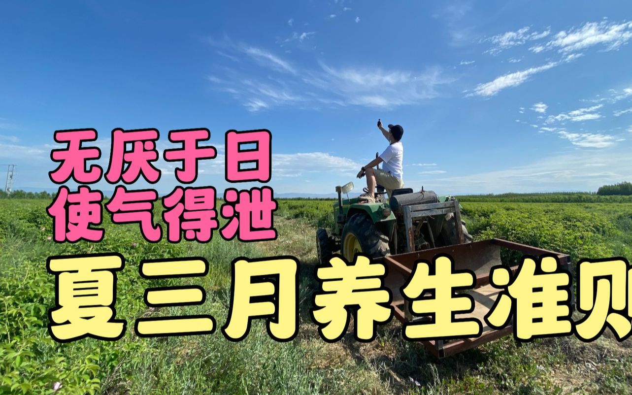 黄帝内经夏月养生总论,夏三月,无厌于日,使气得泄哔哩哔哩bilibili