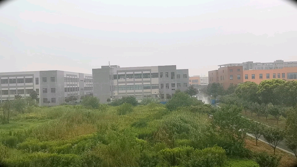 炎炎夏日来一场酣畅淋漓的大雨,长风卷地驱炎暑,暴雨翻空送晚凉哔哩哔哩bilibili