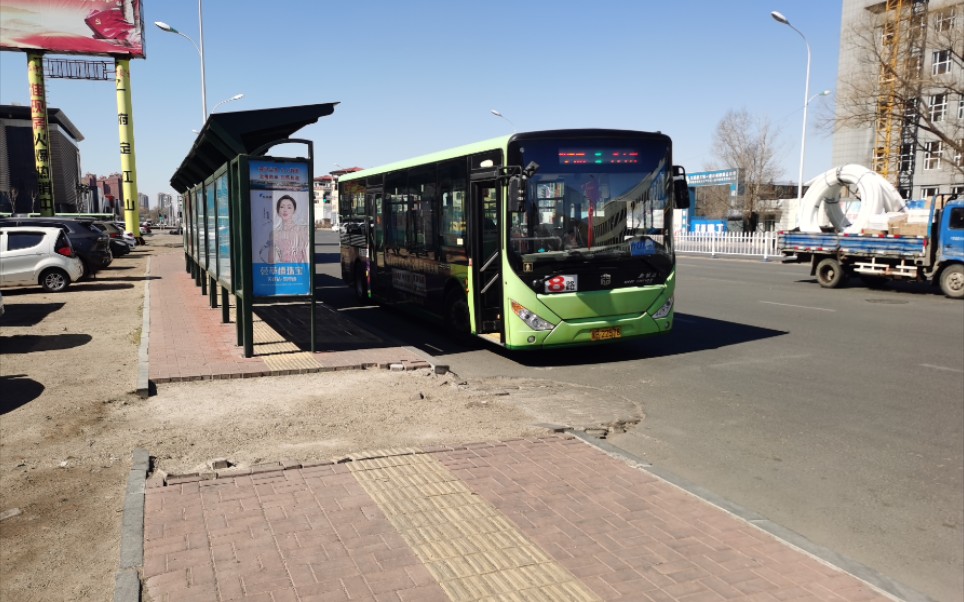 齐齐哈尔公交8路全程pov《凤凰城→高等师范专科学校_哔哩哔哩_bili