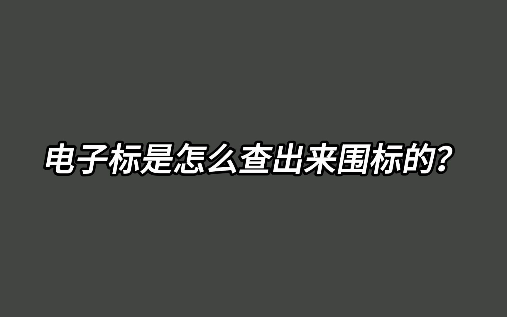 电子标是怎么查出来围标的?哔哩哔哩bilibili