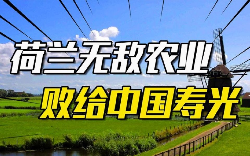 业内主流公认第一,荷兰的无敌农业,败给了我国的寿光?哔哩哔哩bilibili