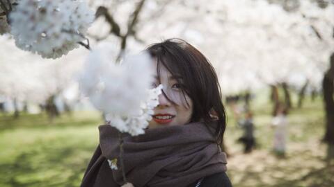 夏威夷节 长冈花火 Waikiki Beach Fireworks 哔哩哔哩 Bilibili
