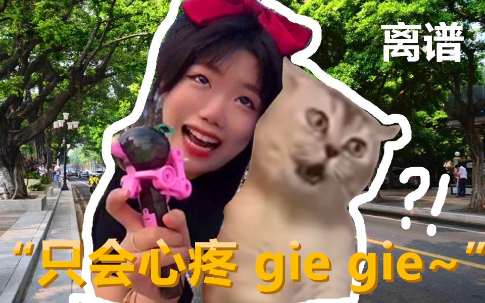 猫咪版 我只会心疼giegie~