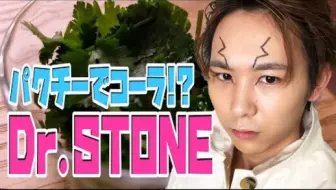 自制可乐 千空可乐做出来了 制作过程 试喝感想 Dr Stone 石纪元 石神千空牌可乐 用科学和爱来制作可乐啦 哔哩哔哩 Bilibili