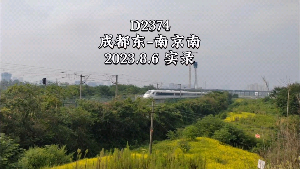【宁蓉铁路】2023年8月6日,d2374(成都东→南京南)通过成都民兴南二路