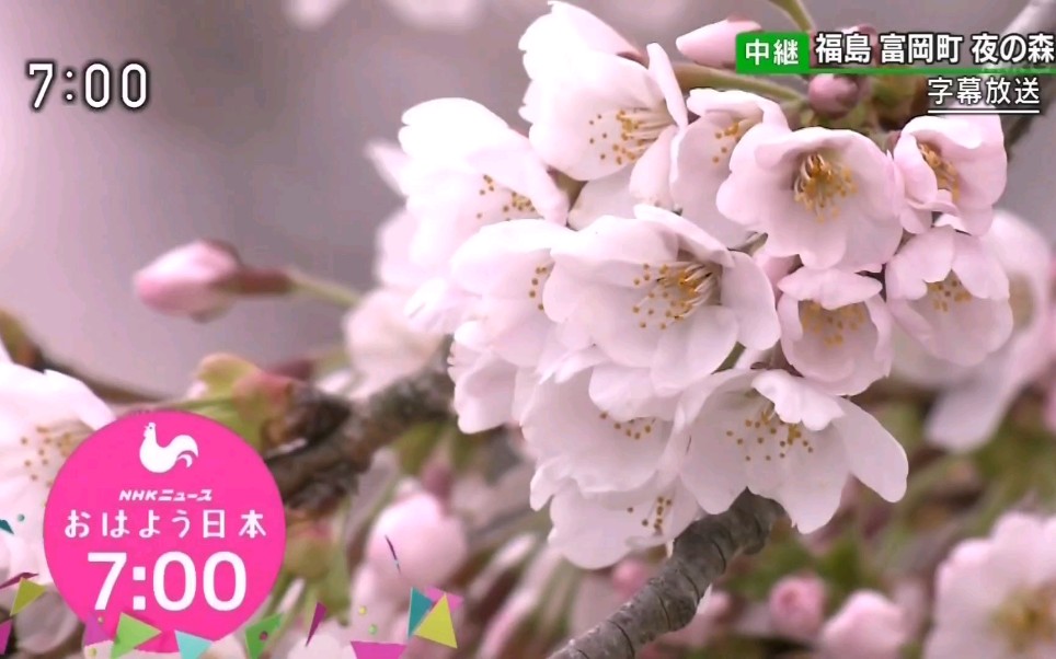 [图]日本NHK 早安日本 2019 星期日7:00 片头