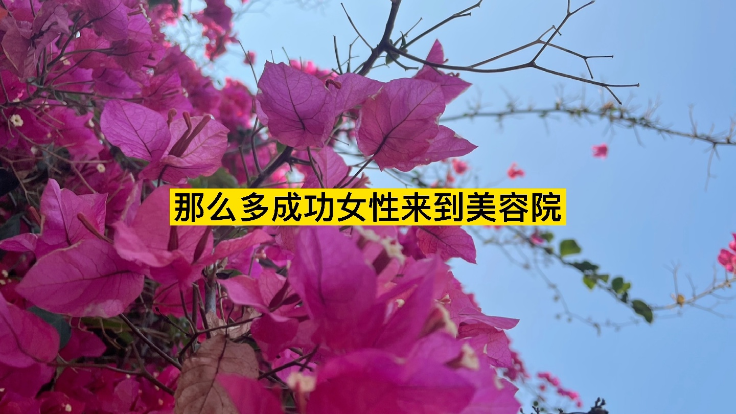 服务业的功能是什么?哔哩哔哩bilibili