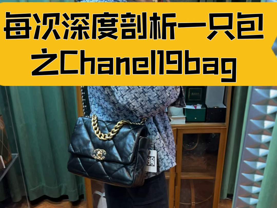 每次深度剖析一只包之Chanel19bag哔哩哔哩bilibili