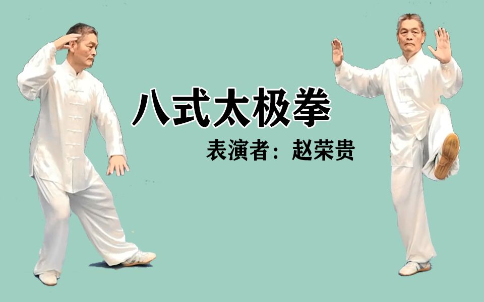 八式太极拳 表演者赵荣贵哔哩哔哩bilibili