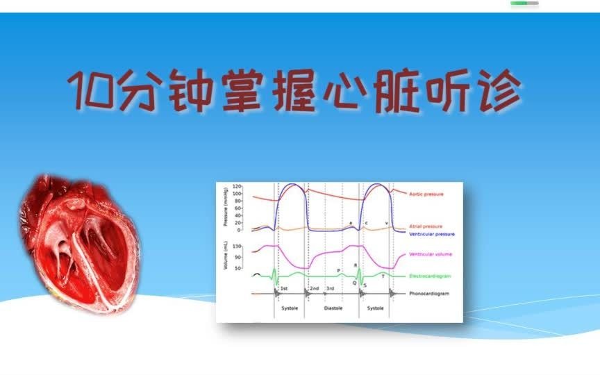 10分钟掌握心脏听诊哔哩哔哩bilibili