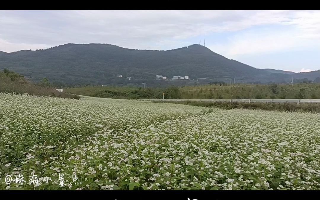 重庆市武隆区仙女山国家森林公园哔哩哔哩bilibili