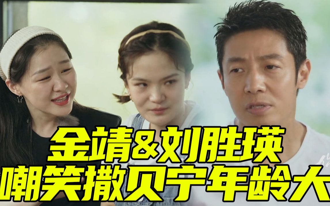 裂开!撒贝宁一本正经安慰姐妹花,反被金靖嘲笑年龄大