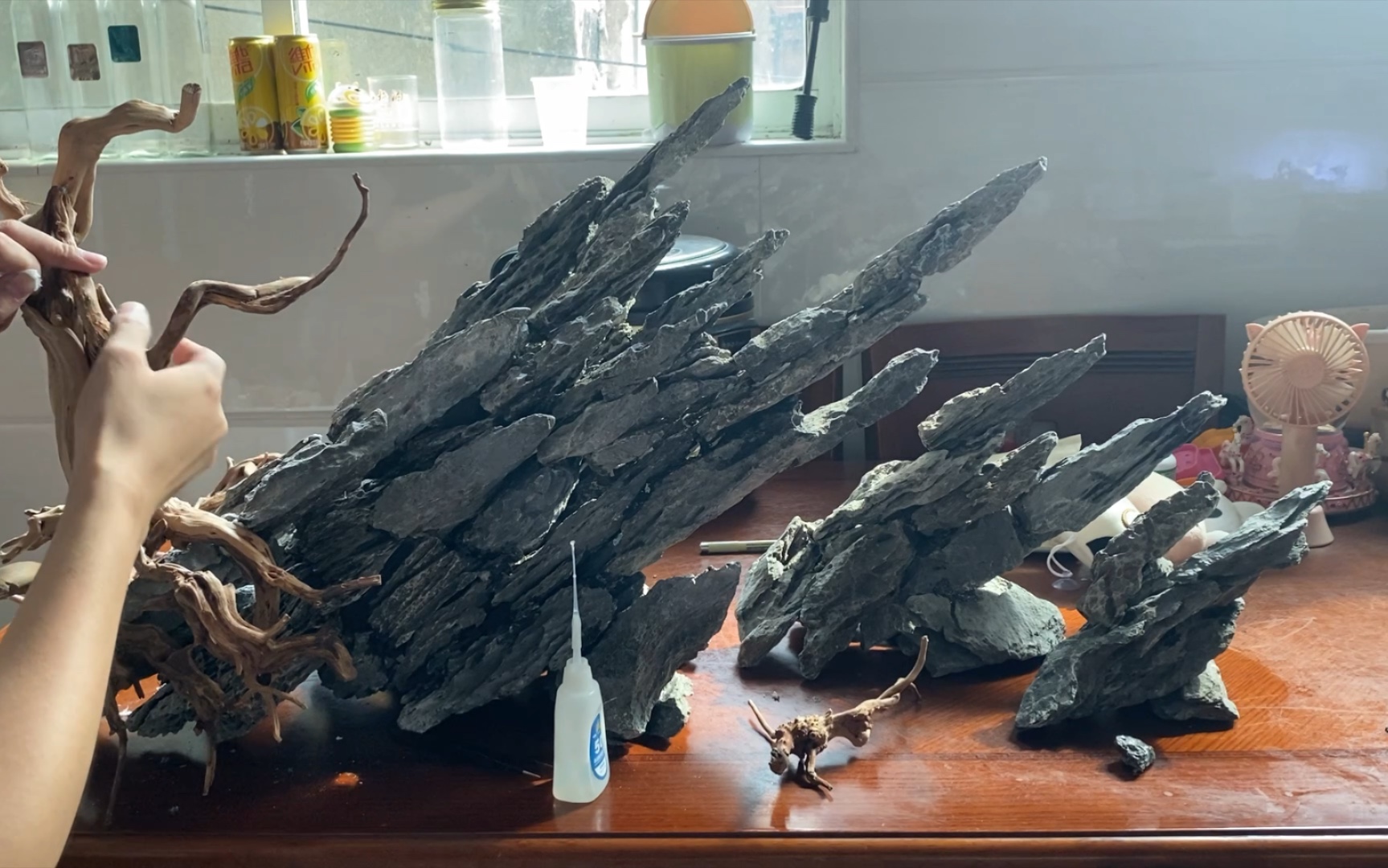 1米草缸开缸造景花絮,石青龙石 松皮石头 开缸 教程_哔哩哔哩_bili