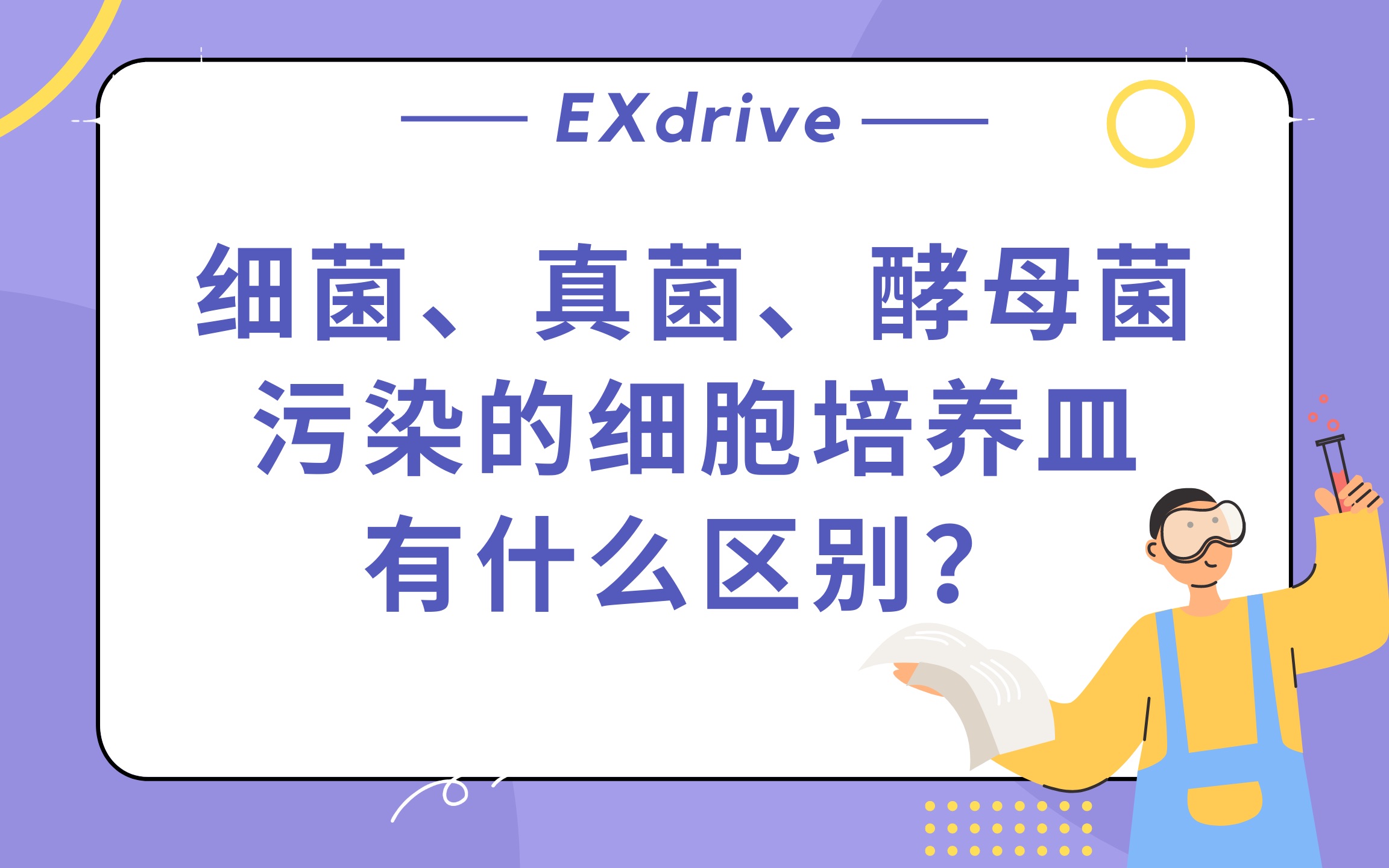 细菌、真菌、酵母菌污染的细胞培养皿有什么区别?哔哩哔哩bilibili