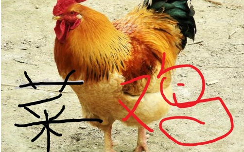 【星际争霸】重置版1v1网上对战体验【菜鸡互啄系列】_哔哩哔哩 (゜