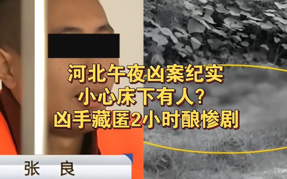 河北午夜凶案纪实:床下有人?凶手藏匿2小时酿惨剧哔哩哔哩bilibili