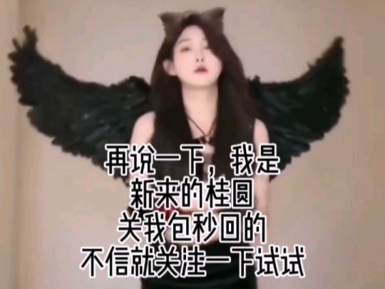 新来的桂圆粉,康琴枝和桂哥只是剧本