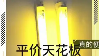 飞利浦黄色安全灯管 无紫外线 TL-D 36W/16 YELLOW防紫外线黄光管