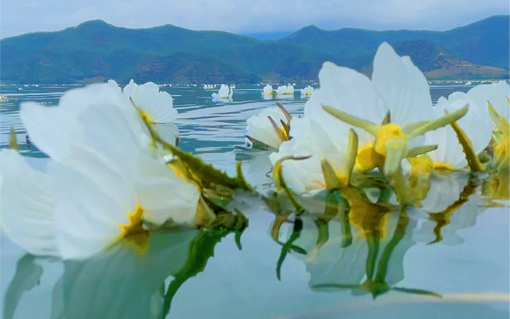 [图]云南泸沽湖的“水性杨花”