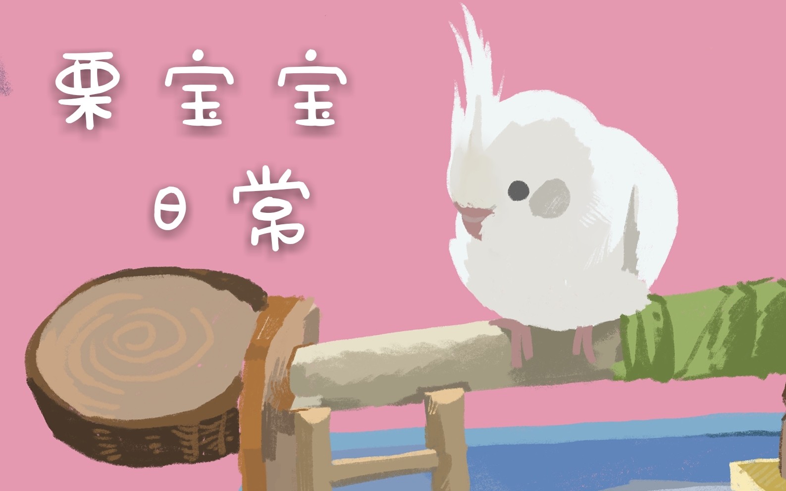 玄凤鹦鹉〕栗宝宝日常 撕纸鸡
