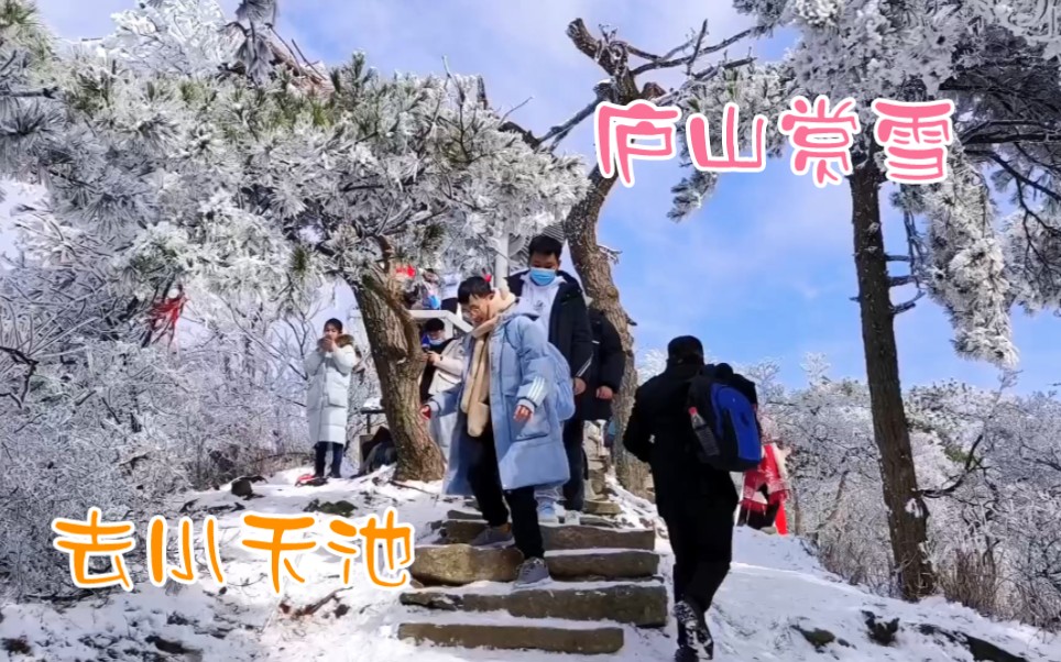 庐山赏雪一日游,就去小天池哔哩哔哩bilibili