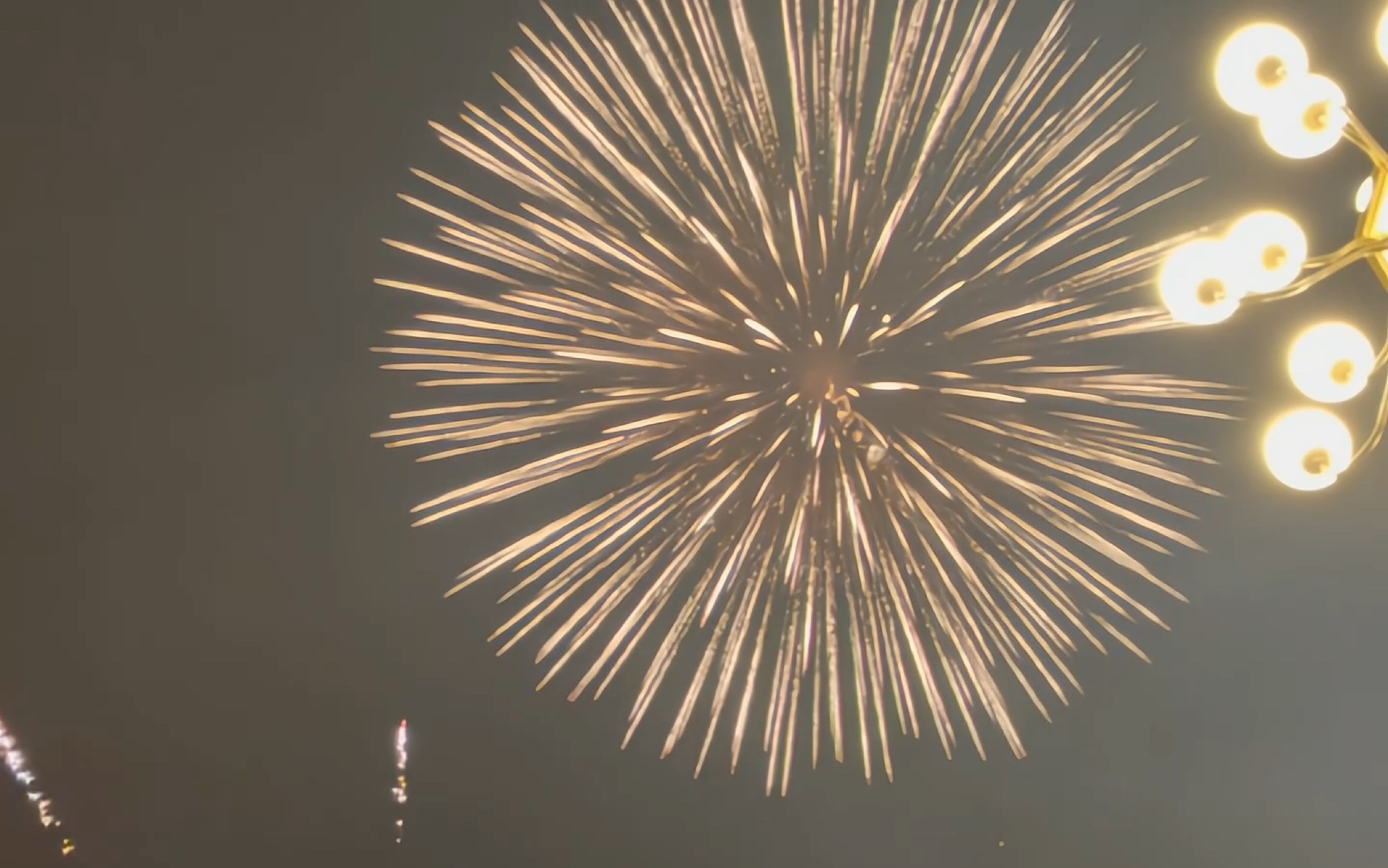 egg new year!请你看烟花~