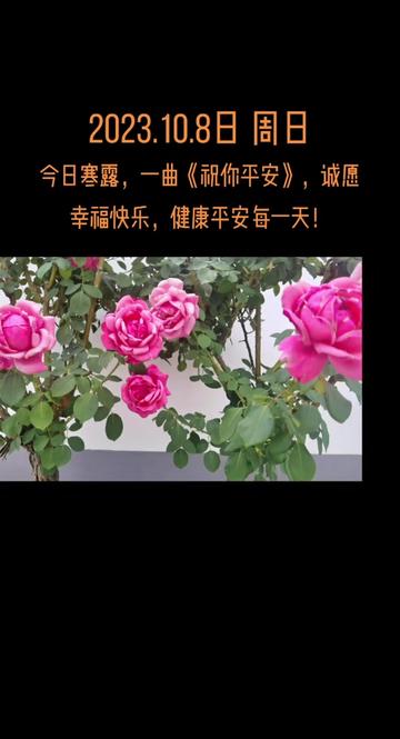 [图]R1锣钹真采样电吹管练习曲《祝你平安》，bE调，单簧管音色。愿您在寒露节气到来之即，快乐，健康，平安！