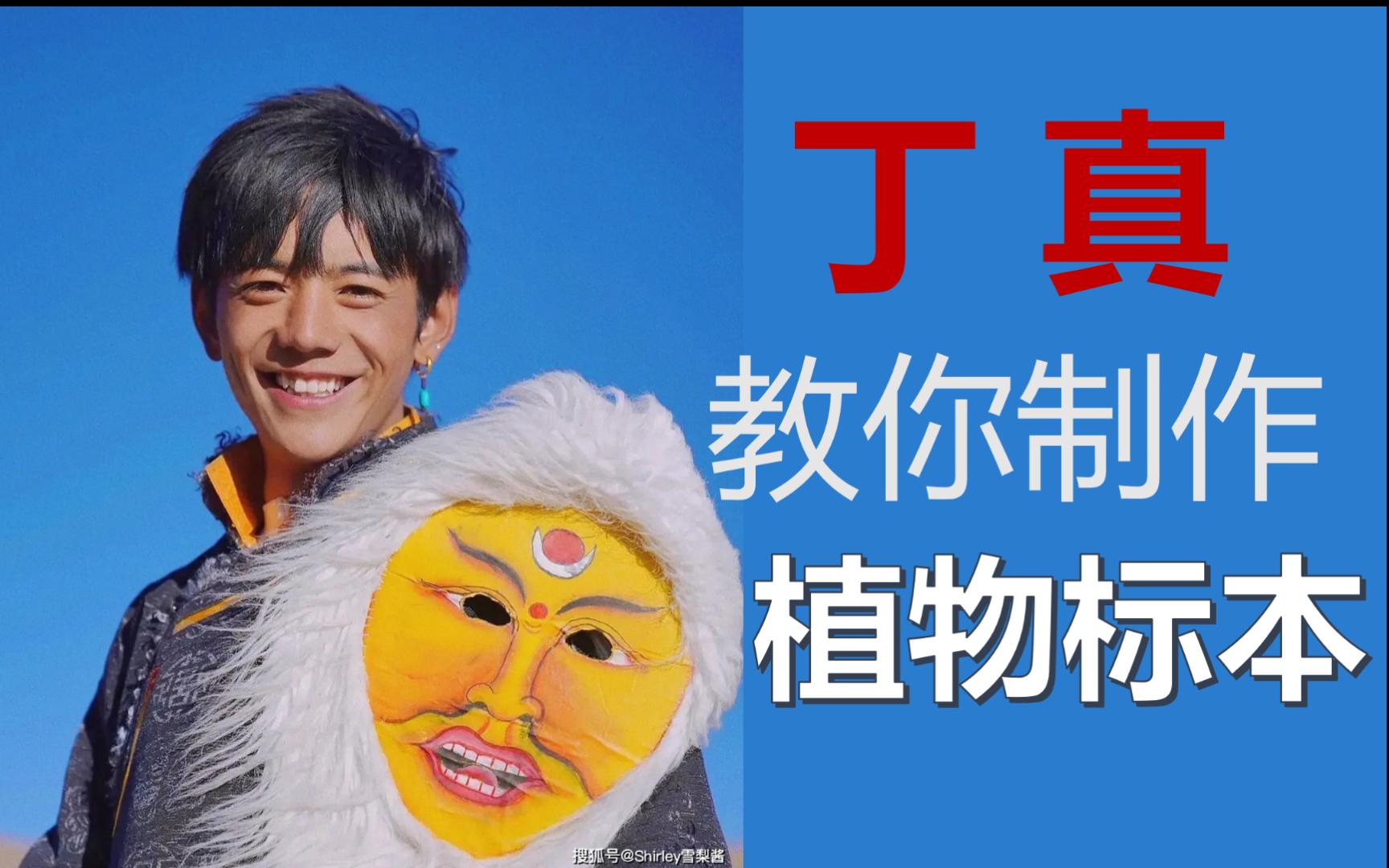 理塘丁真教你制作植物标本