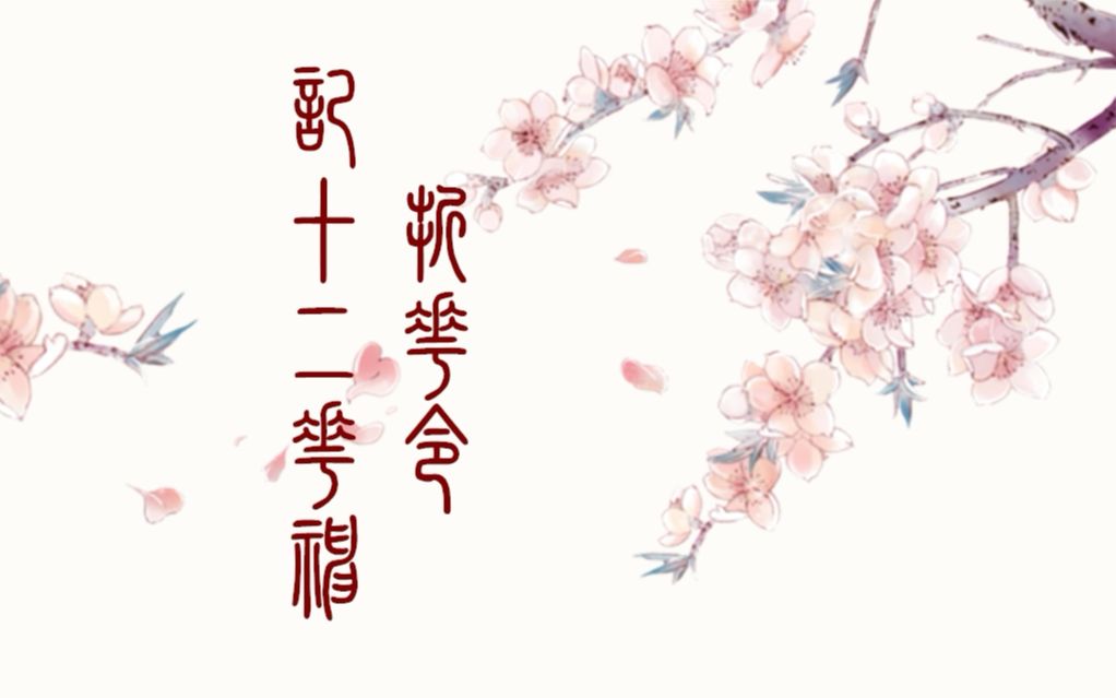 【古装群像】||折花令 記十二花神(大型舔颜cp向)