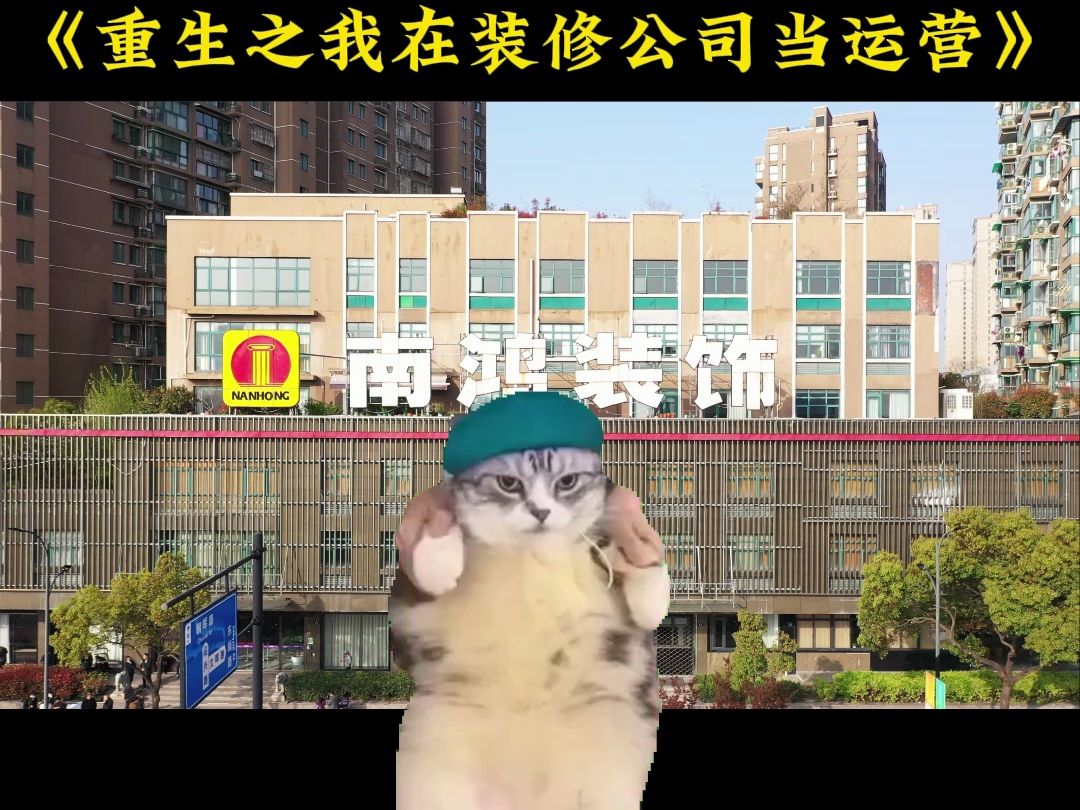 【猫猫meme】迟到的00后运营入职日记! 卑微打工人杭漂之我在装修公司当运营... 希望还能赶上热度(嘶吼,尖叫) 跑来跑去(啥时候才能破五千啊,疯...