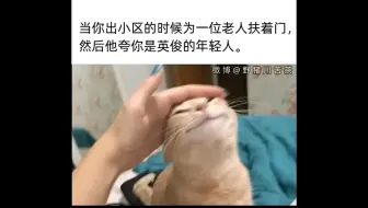 老完蛋的日常—娇羞长毛怪的丢雷之旅—20240404