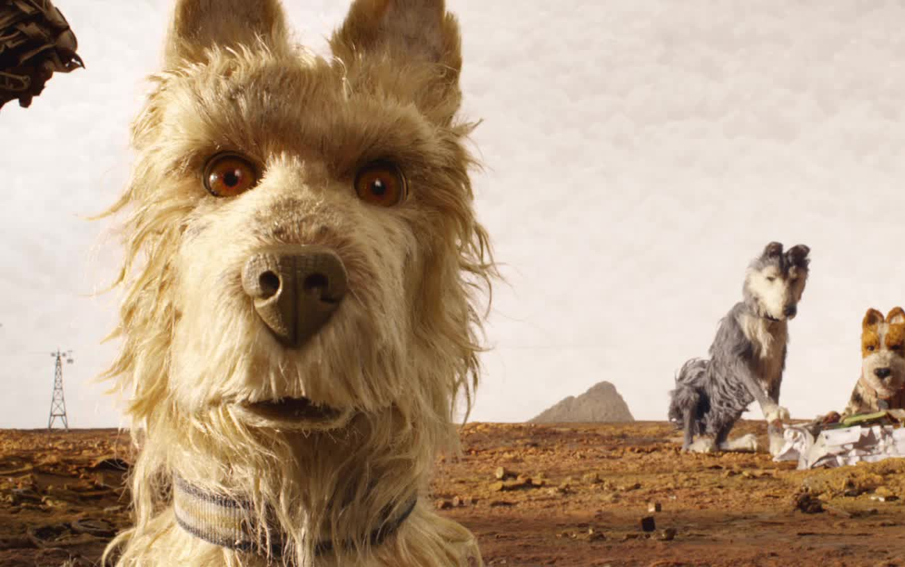 众星献声全新定格动画力作《犬之岛》首曝预告片!【无水印预告】