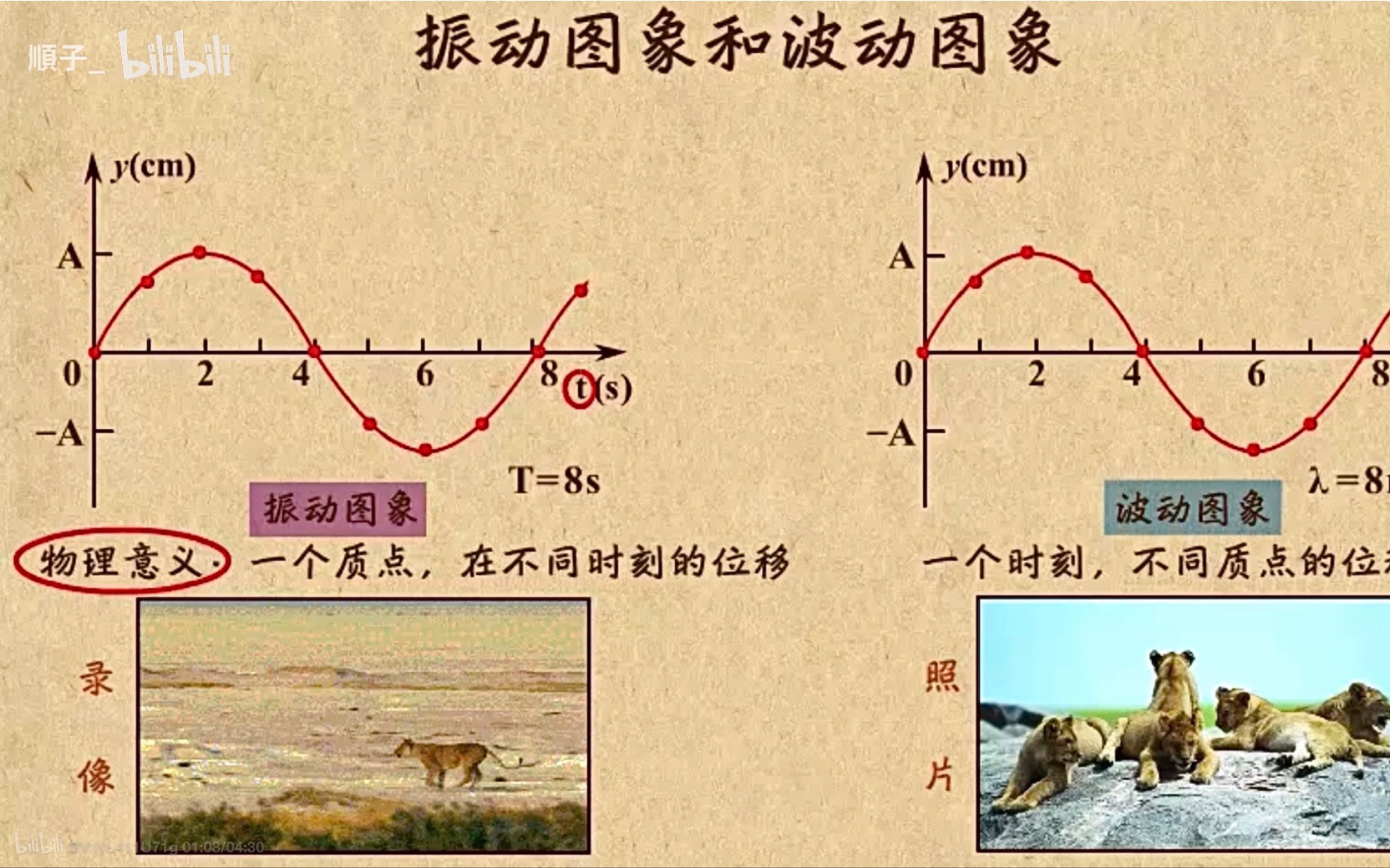 [图]高中物理｜【第三章 机械波】6 振动图像和波动图像