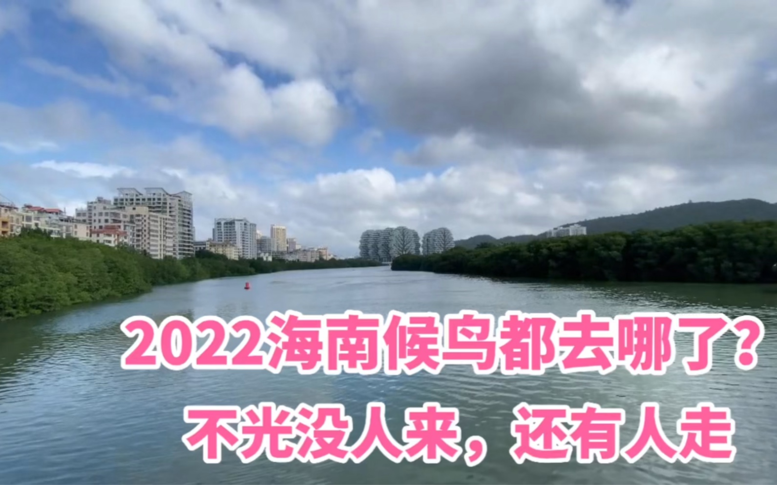 2022年海南过冬见不到候鸟?不光没人来,还有大批人离开哔哩哔哩bilibili